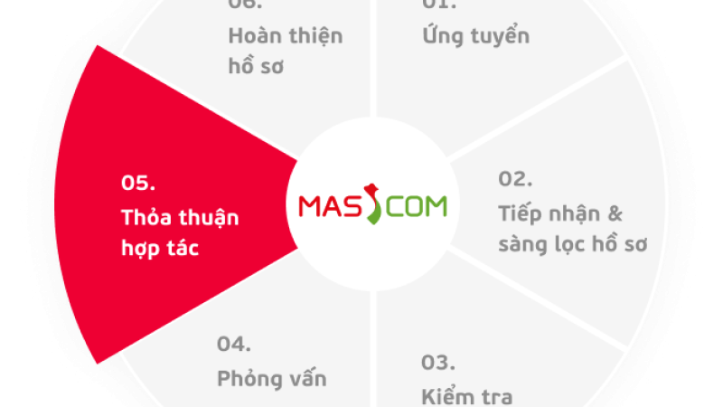 Bài viết